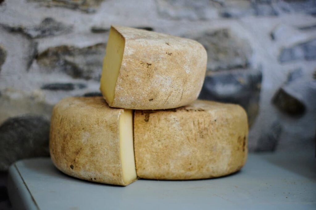 Os melhores tipos de queijo